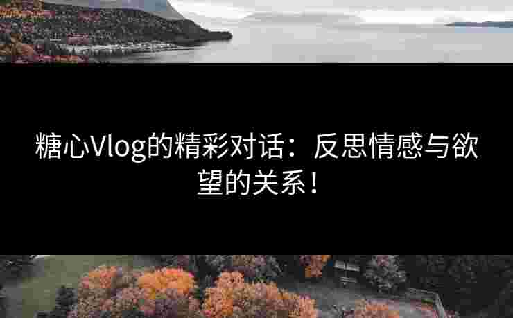糖心Vlog的精彩对话:反思情感与欲望的关系!